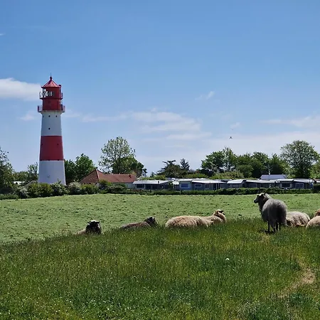 Steuerbord アパート